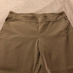 Terra Sky ankle pants